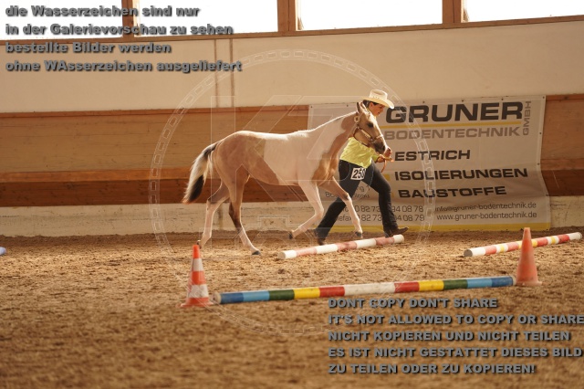 s_A_901199.JPG